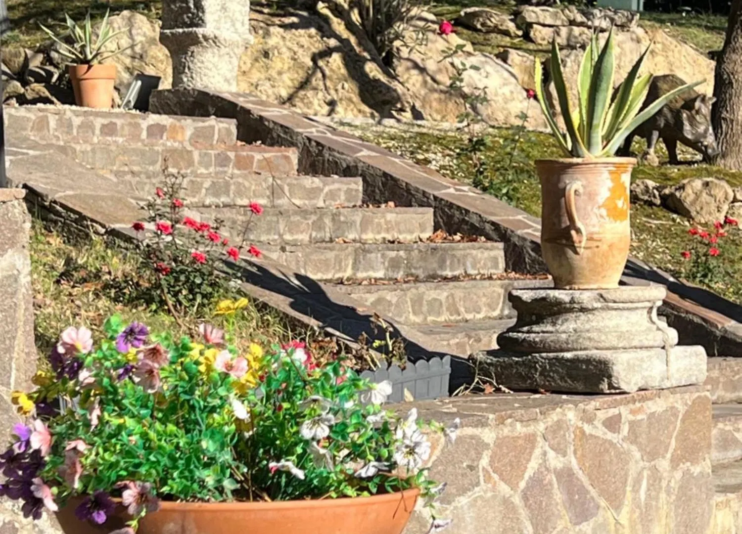 Villa Il Pensierino Manciano Holiday home